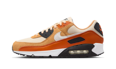 Air Max 90 "Campfire" DM0029 800