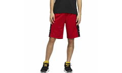 Mesh Outline Shorts "Power Red / Black" EI7516