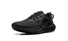 Pegasus Trail 5 "Black" DV3864-002
