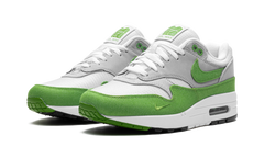Air Max 1 "Patta - Chlorophyll 2024" HF1012 300