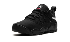 SB Darwin Low "Supreme - Black" FQ3000 001