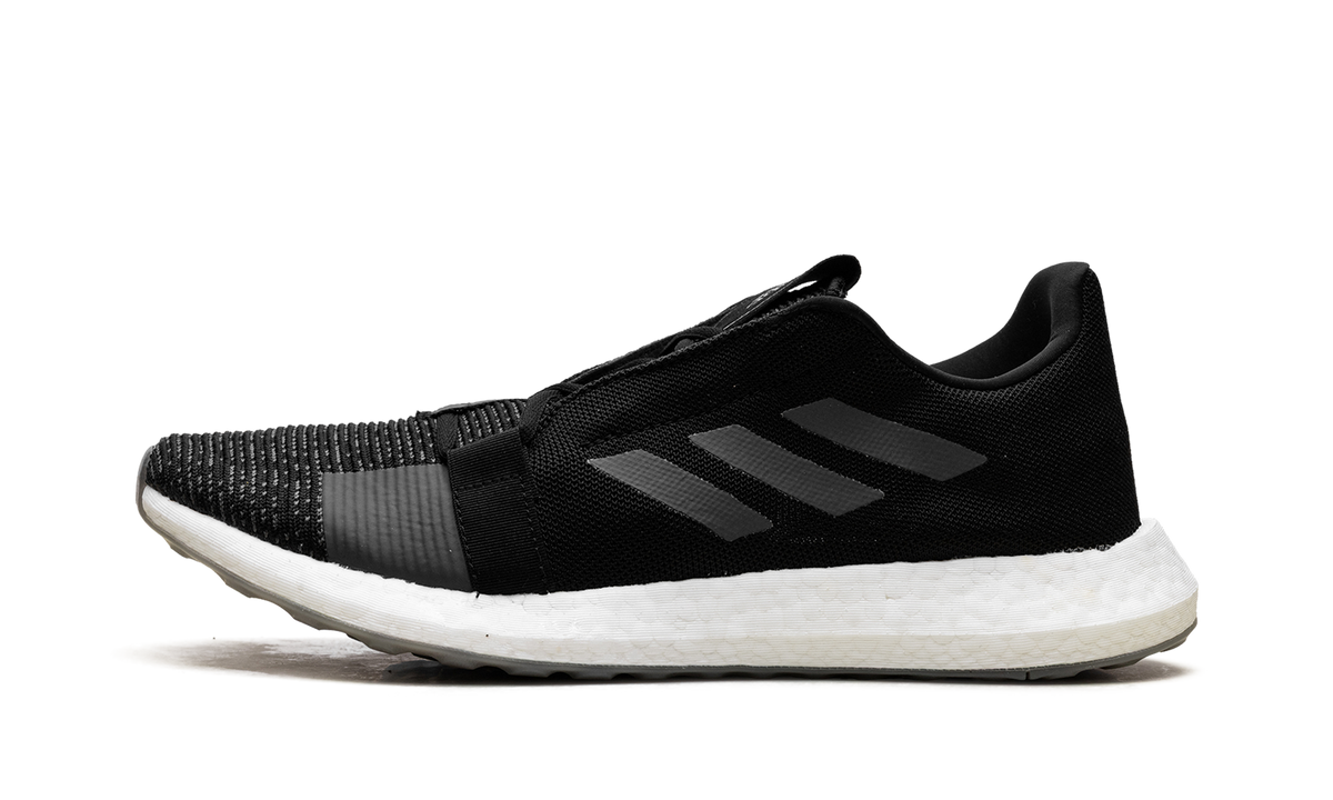 SenseBoost Go EG0960