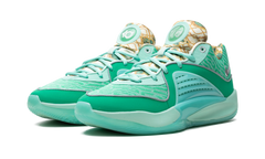 KD 16 "Wanda" DV2917 301
