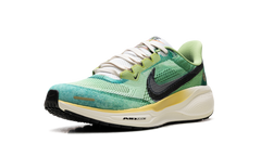 Air Zoom Pegasus 41 "Waffle Racer" IH3583 999