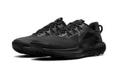 Pegasus Trail 5 "Black" DV3864-002