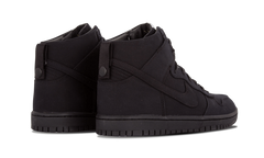 Dunk Lux SP "DSM" 718766 001