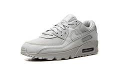Air Max 90 "Wolf Grey" CN8490 001