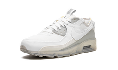 Air Max 90 Terrascape DQ3987 101