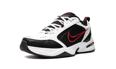 AIR MONARCH IV 415445 101