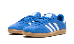 Samba Adv "Blue Bird" JP5719