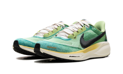 Air Zoom Pegasus 41 "Waffle Racer" IH3583 999