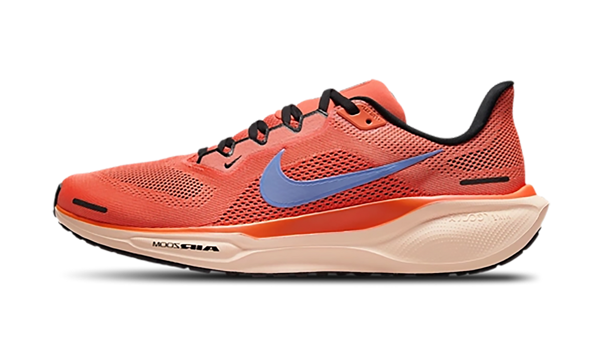 Air Zoom Pegasus 41 "Cosmic Clay" FD2722 600