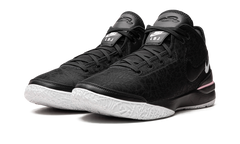 Nike Zoom LeBron NXXT Gen "Black/White" DR8784 003