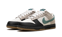 Dunk Low "Brown Bicoastal" HQ3483 104