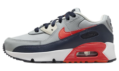 Air Max 90 Leather PS "Light Smoke Bright Crimson" CD6867 021