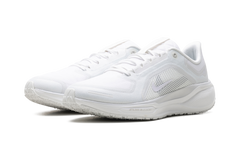 Air Zoom Pegasus 41 "Gore-Tex" FQ1356 101