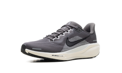 Air Zoom Pegasus 41 "Medium Ash Pure Platinum" FD2722 215