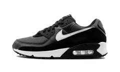Air Max 90 "Iron Grey" CN8490 002