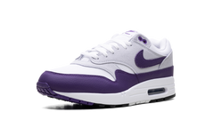 Air Max 1 SC "Field Purple" DZ4549 101