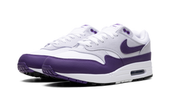 Air Max 1 SC "Field Purple" DZ4549 101