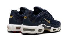Air Max Plus "FFF" fb3350 400