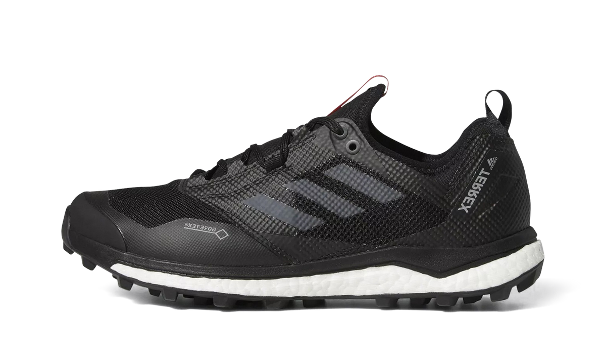 Terrex Agravic XT GTX "Grey Five" AC7655