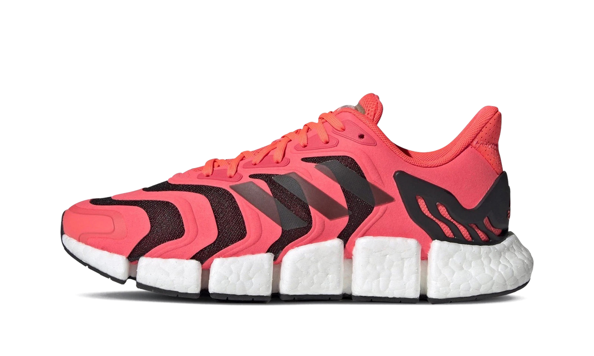 Climacool Vento "Signal Pink" FX7848