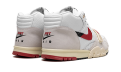 Air Trainer 1 "Split - Chicago" DZ2547 100