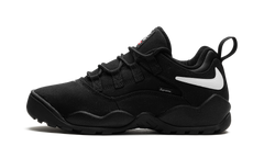 SB Darwin Low "Supreme - Black" FQ3000 001