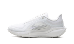 Air Zoom Pegasus 41 "Gore-Tex" FQ1356 101