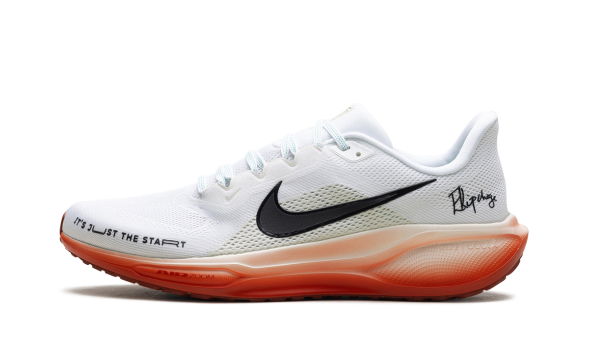 Air Zoom Pegasus 41 "Eliud Kipchoge" HJ7037 100