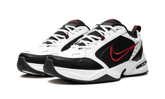 AIR MONARCH IV 415445 101