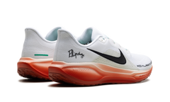 Air Zoom Pegasus 41 "Eliud Kipchoge" HJ7037 100