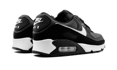 Air Max 90 "Iron Grey" CN8490 002