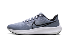 Air Zoom Pegasus 39 "Ashen Slate / Black" DH4071 401