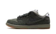 SB Dunk Low Pro B "Sequoia" HJ0367 301
