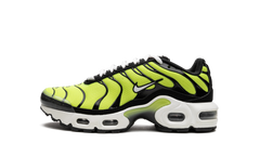Air Max Plus GS