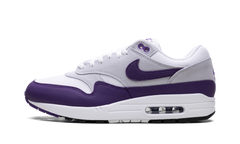 Air Max 1 SC "Field Purple" DZ4549 101