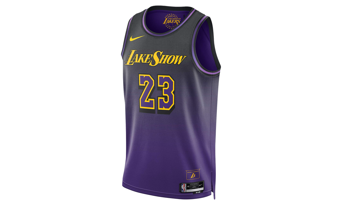 NBA LEBRON JAMES LOS ANGELES LAKERS 2024/25 CITY EDITION SWINGMAN JERSEY "Field Purple" FQ4346 504