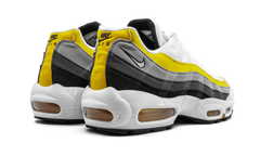 Air Max 95 CD7495 100